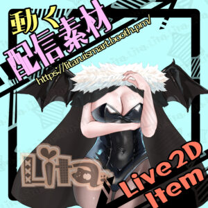 (045)バニーコスチューム・ハロウィン/Halloween Bunny Costume