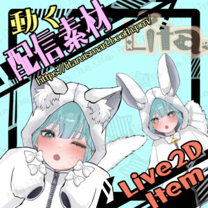 (080)猫耳｜うさ耳｜パンダ耳パーカー（萌え袖） / Cat | Bunny | Panda Ear Hoodie